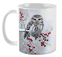 ������ ���� ����� / ��� �14