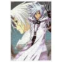 ���� D.Gray-man (������ A3, 252 ������) 66997