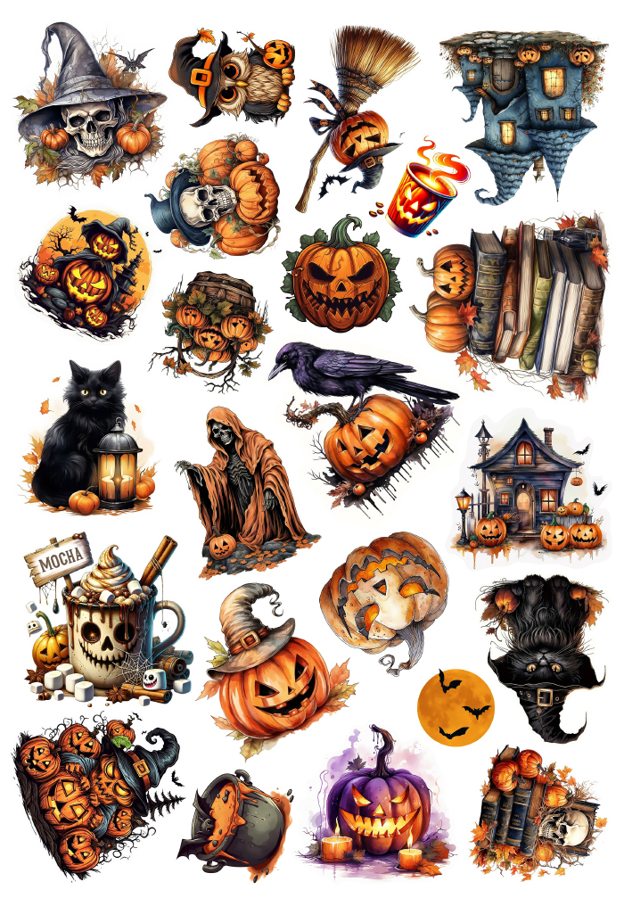 �������� �������� / �����