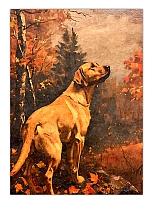 ������ �������� ��������-�������� / ������