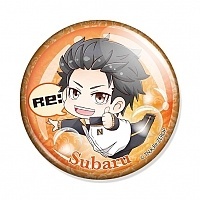 ������ ����� � �������������� ���� � ���� - Subaru