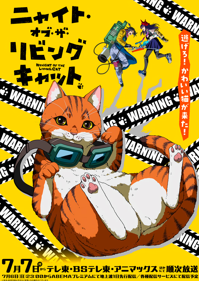 ������ �������� ���� ����� �������