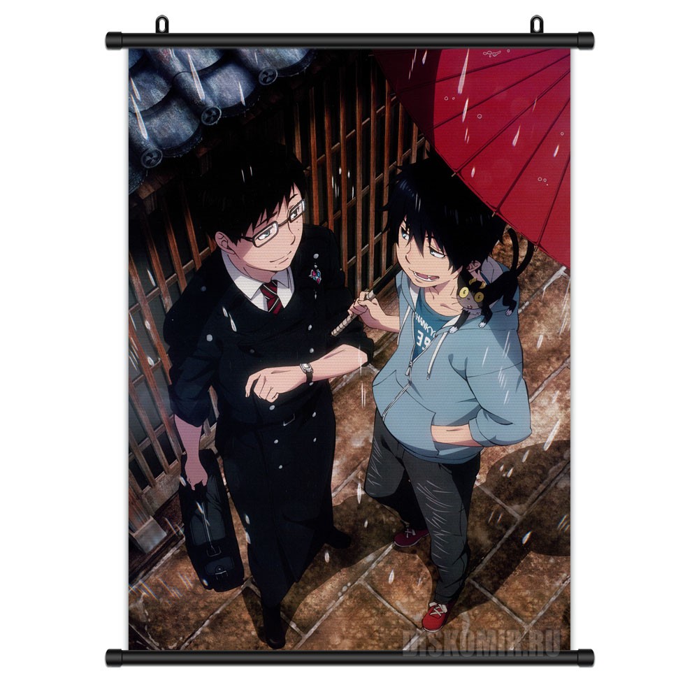     Ao no Exorcist Rin Okumura, Yukio Okumura, Kuro       / Ao no Exorcist / Blue Exorcist