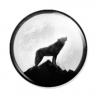 ������ Teen Wolf Moon and Wolf