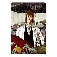 ������ ��������� ������������� ���� No.4