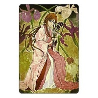 ������ ��������� ������������� ���� No.33