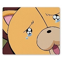 ������ ��� ����� ���� No.16