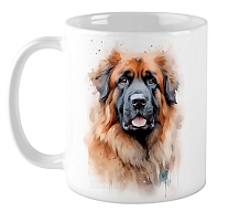 ������ ���������� / ��������