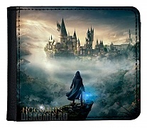 ������� � ���������� ��� ������ ��������. ��������