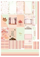 �������� ��� ����������� No.24 �����