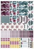 �������� ��� �������� ����������� No.16 ����� �������