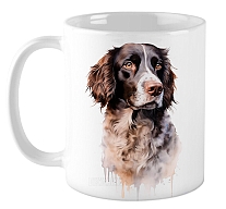 ������ ������������� ����� / ��������