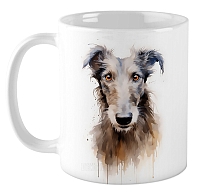 ������ �������� / ��������