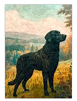 ������ �������� ��������������� �������� / ������