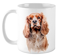 ������ ������������ �����-�������� / ��������