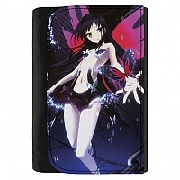   Accel World 331581