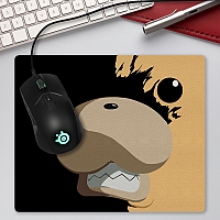 ������ ��� ����� ���� No.11