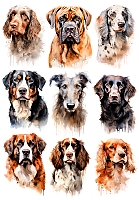 �������� ������ ����� No.6