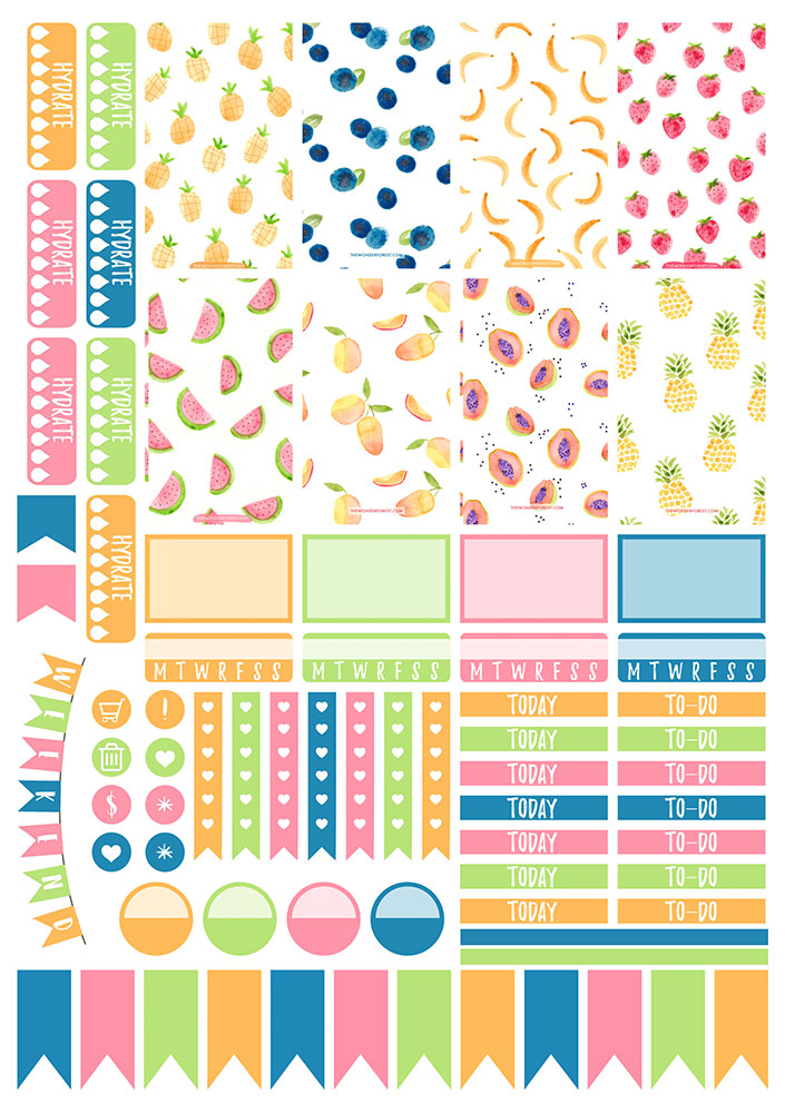 �������� ��� �������� ����������� No.14 ������