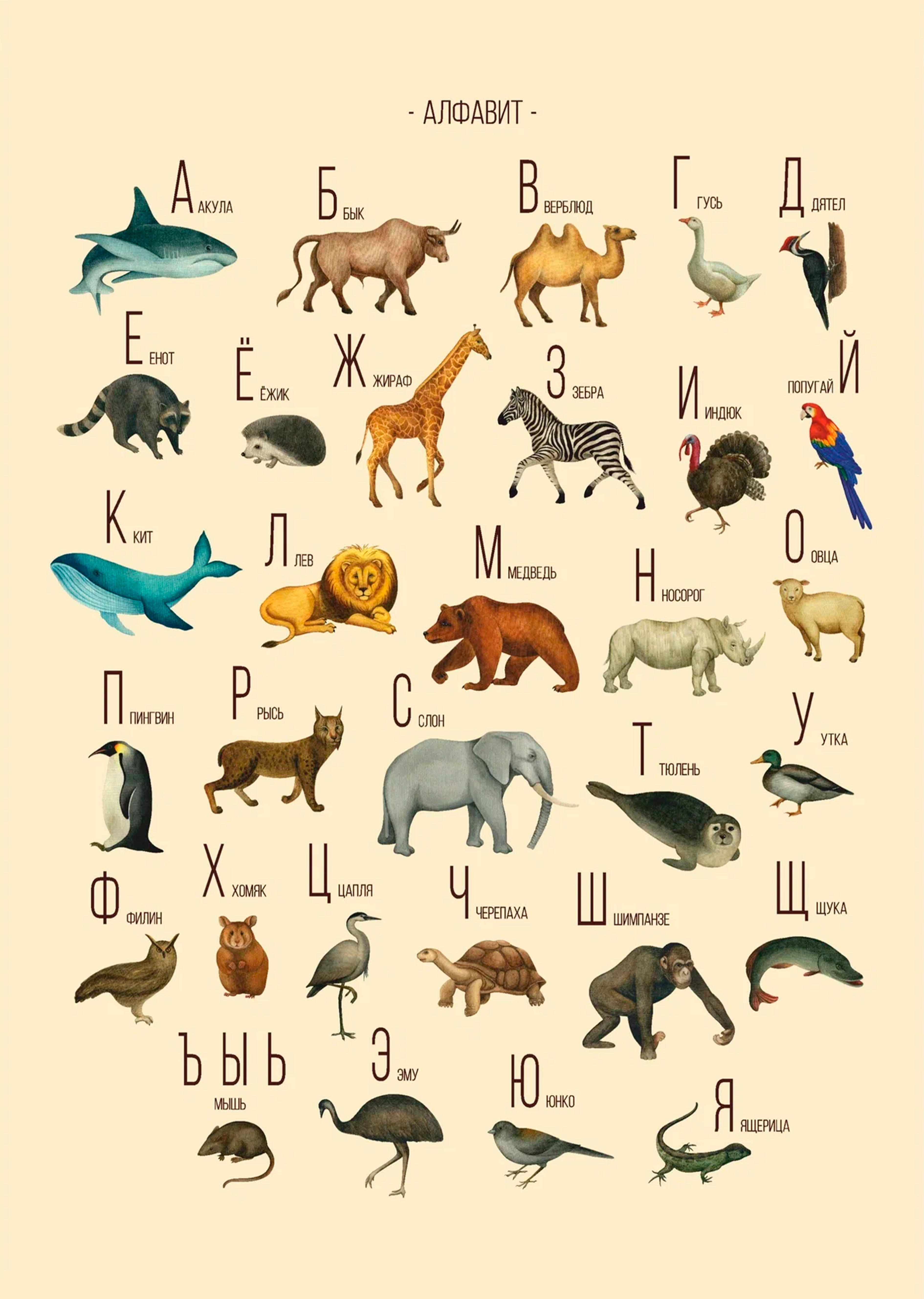 ������ �������� - �������