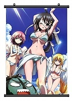 ������� �������� Sora no Otoshimono 313496