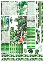 ������� ��� �������� ����������� No.15 �������