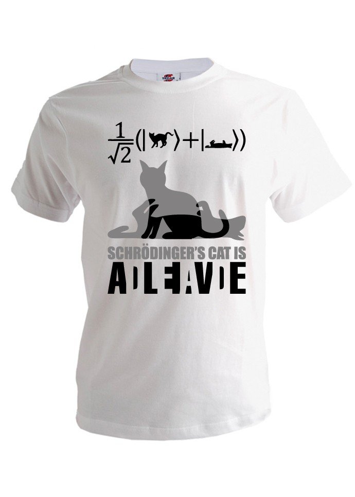 ���������� ������� �������� Schrodinger's cat �� ����� � ����� ������ �������� ������ / The Big Bang Theory