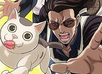 ������ �������� ���� ����������� - ����