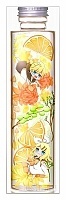    Vocaloid Bottle Kagamine