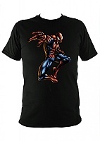  Spider Man
