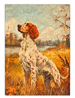 ������ �������� ���������� ������ / ������