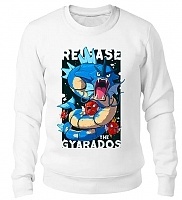  Pokemon - Release the Gyarados