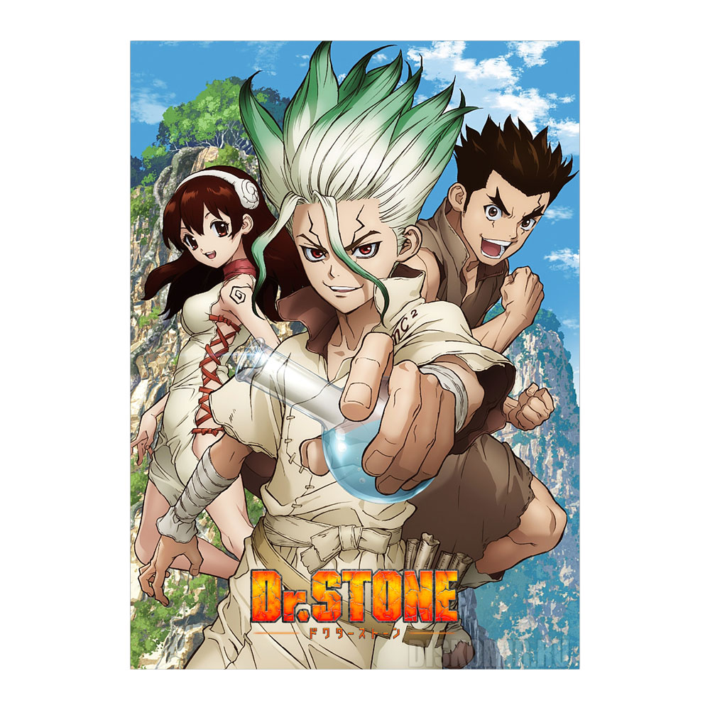 ������ �������� "Dr. Stone" Senkuu, Taiju, � Yuzuriha