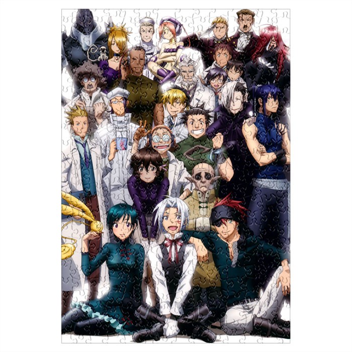 ���� D.Gray-man (������ A3, 252 ������) 66999