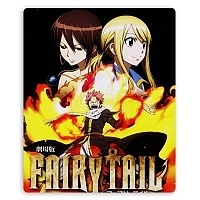    Fairy Tail 310048