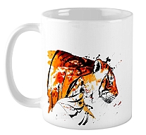 ������ ���� / ��������