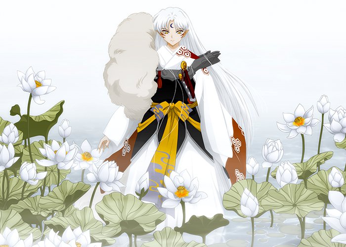 ������ �������� ������ - ��������