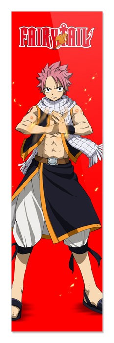 �������� ��� ���� Fairy Tail Natsu Dragneel