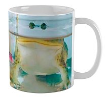 ������ ��� / ����