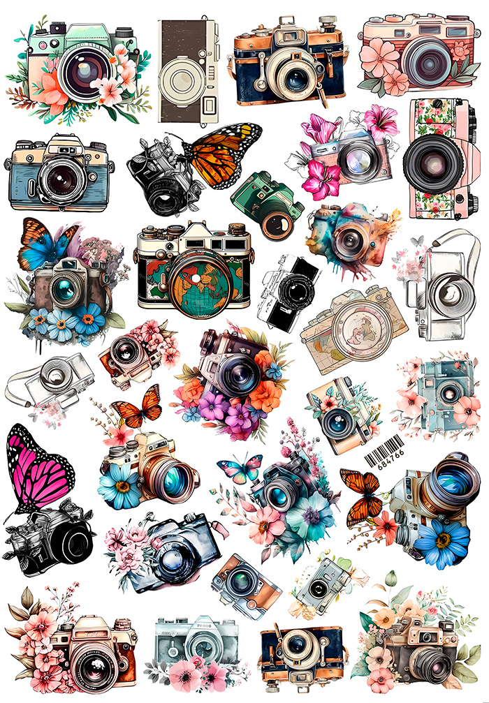 ������� ��������� ������������ � �������