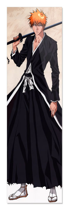 ���������� ������� �������� Bleach 349949 �� ����� � ����� ���� / Bleach