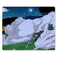    Natsume Yuujinchou 62953