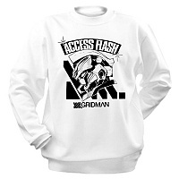 ��������� Gridman ACCESS FLASH