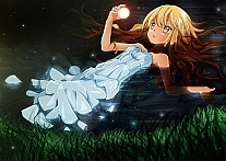 ������ �������� Toranoana