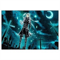 ���� D.Gray-man (������ A3, 252 ������) 67000