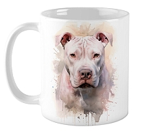 ������ ������������ ��� / ��������