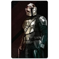   The Mandalorian - Protective Wear