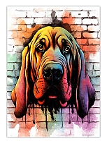 ������ �������� ��������� / ��������