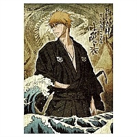 ���� ���� (������ A3, 252 ������) No.13