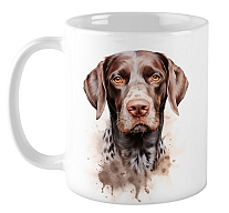 ������ �������� �������� / ��������